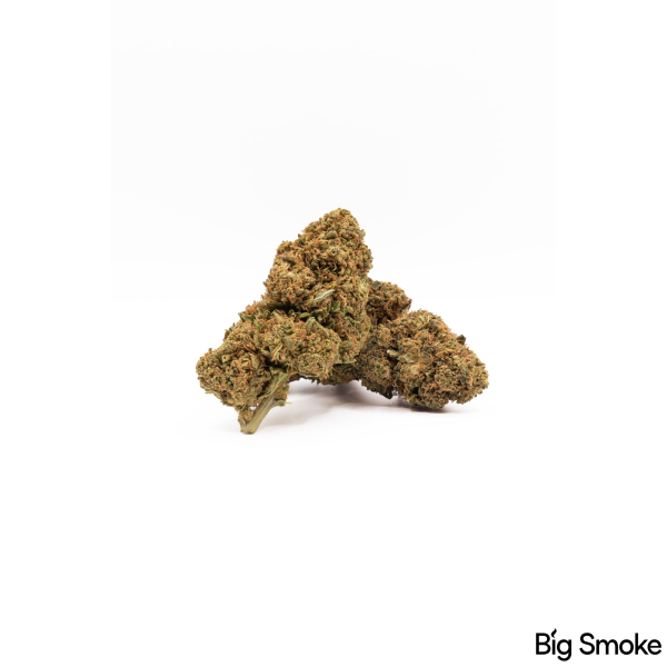 SIN TETRA | Mandarin Kush